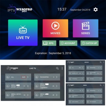 Arabic French Portuguese Polish German Italy Spain Netherlands Belgium Sweden UK US CA IPTV Subscription for Android TV Box M3U