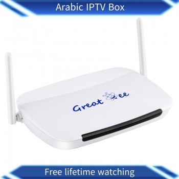 Great bee Lifetime free forever Arabic Iptv box Supply over 300+ Channel, Free Shipping support