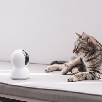 Newest Xiaomi Mijia Smart Cam Cradle Head Version 1080P HD 360 Degree Night Vision Webcam IP Cam Camcorder Wifi In Stock