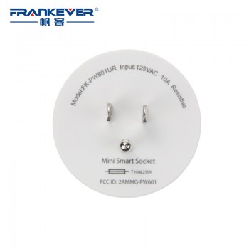 FrankEver Hot Sale US Mini Smart Socket 10A Wifi Plug Timing Switch Voice Control Work with Alexa Google Assistant