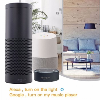 FrankEver Israel WIFI Smart Plug With Dual USB Ports Timing Socket Wireless Outlet Voice Control Work with Alexa Google home