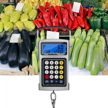 10pcs Digital Scales 7 in 1 Fish Electric Scale Weighing 50kg with a Calculator Tape Measure Backlight