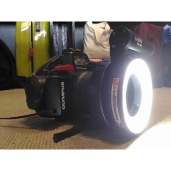 NiteScuba Diving video Weefine ring light for tg5 RX100 Canon Nikon Camera Housing for macro shooting Underwater photography M67