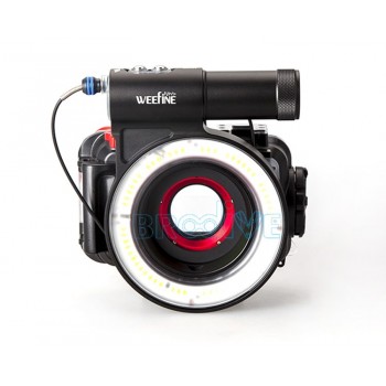 NiteScuba Diving video Weefine ring light for tg5 RX100 Canon Nikon Camera Housing for macro shooting Underwater photography M67