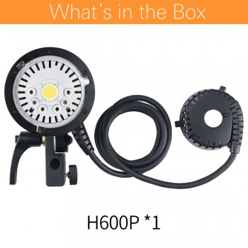 In Stock Godox H600P Flash Head Bowens Mount Off-flash Handheld Extension Head for Godox WITSTRO AD600Pro AD600 Pro Flash Strobe
