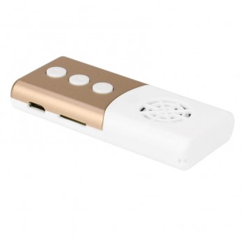 2018 MP3 Mini USB MP3 Music Media Player Light Support 16GB Micro SD TF Card Speaker MP3 Player DE04 DropShipping Apr 9