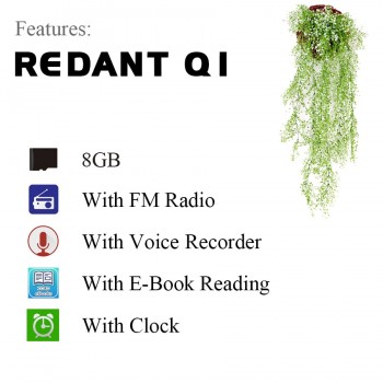 Mini radio fm usb mp3 Player with headphones lossless hifi music player mp-3 reproductor mp3 pen lecteur decoder flash walkman