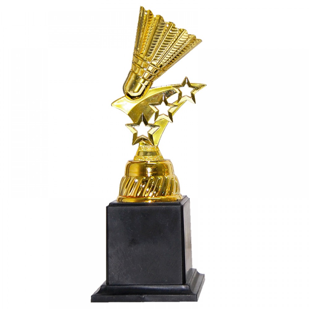 Acrylic Pattern Trophy - AT30945(2) A/B/C Size
