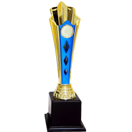 Acrylic Pattern Trophy - AT30821 A/B/C Size