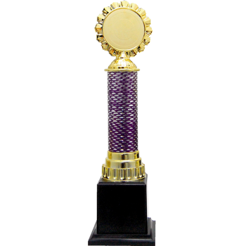 Acrylic Pattern Trophy - AT30507 A/B/C Size