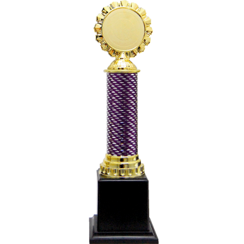 Acrylic Pattern Trophy - AT30507 A/B/C Size