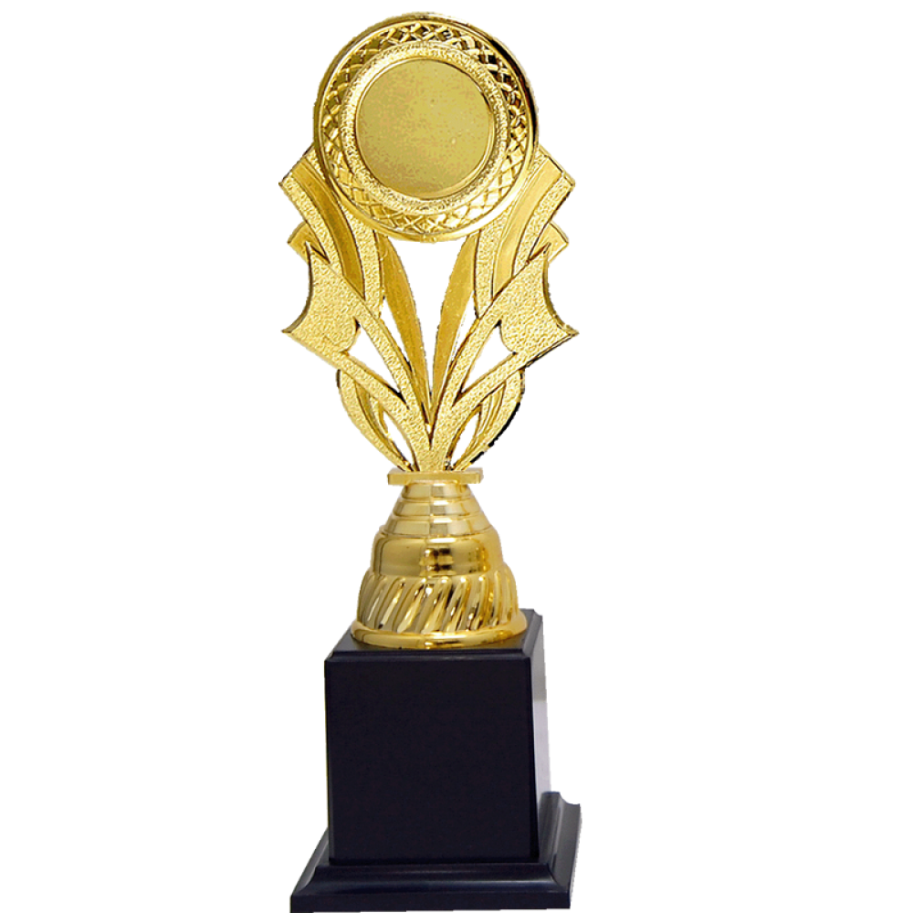Acrylic Pattern Trophy - AT30737 A/B/C Size