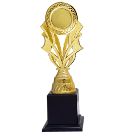 Acrylic Pattern Trophy - AT30737 A/B/C Size