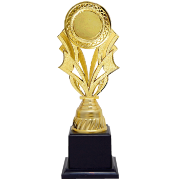 Acrylic Pattern Trophy - AT30737 A/B/C Size