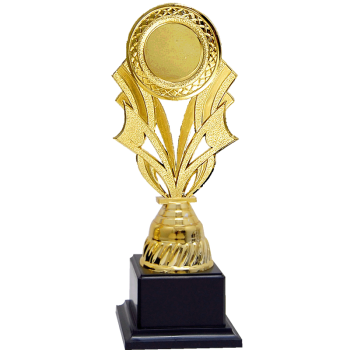 Acrylic Pattern Trophy - AT30737 A/B/C Size