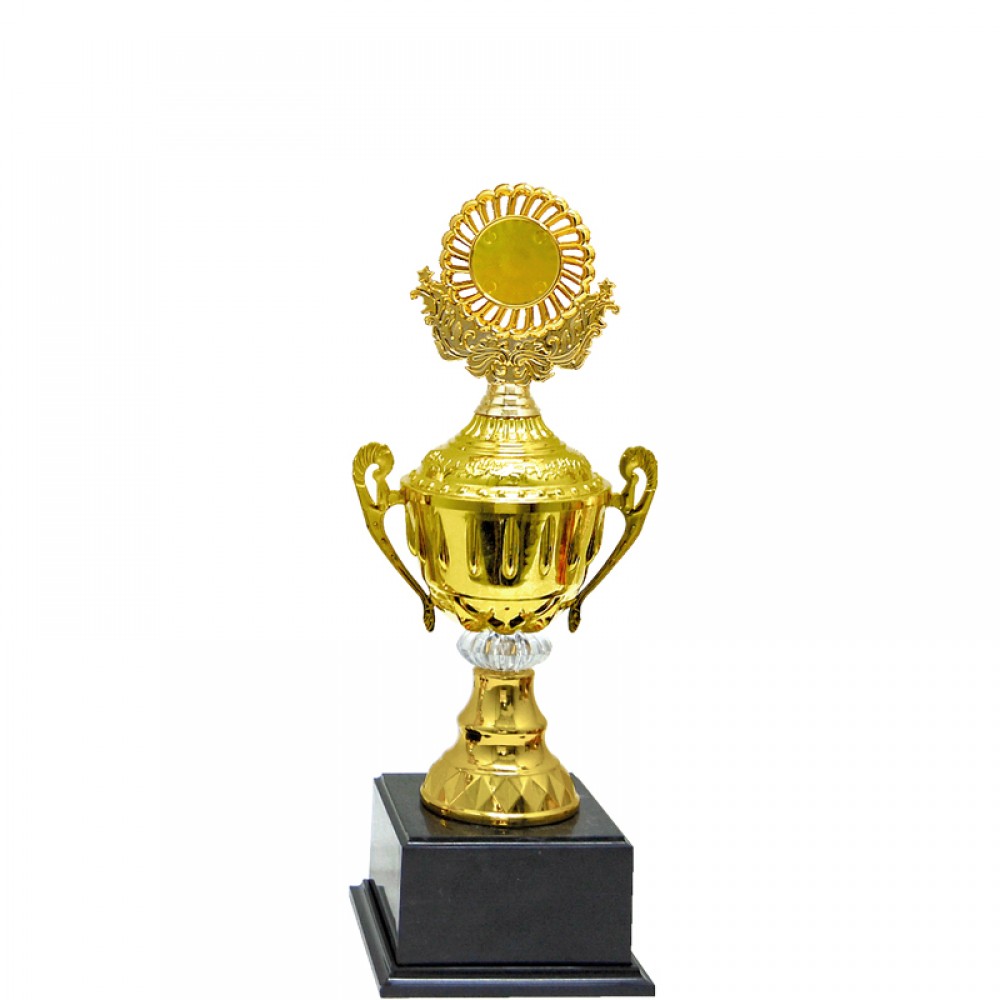 Acrylic Pattern Trophy - AT30898 A/B/C Size