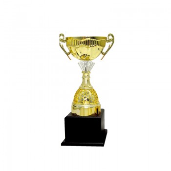 Acrylic Pattern Trophy - AT30915 A/B/C Size