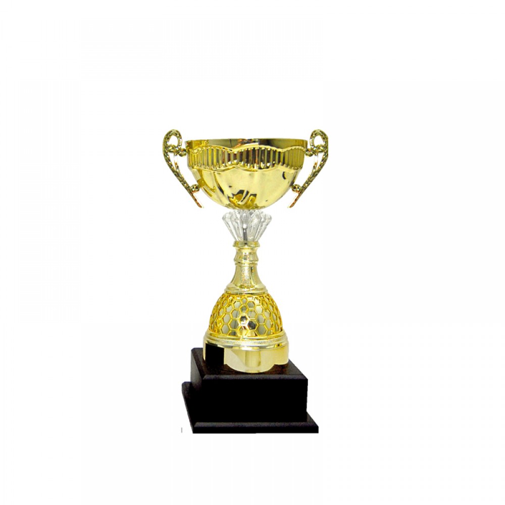 Acrylic Pattern Trophy - AT30915 A/B/C Size