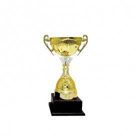 Acrylic Pattern Trophy - AT30915 A/B/C Size