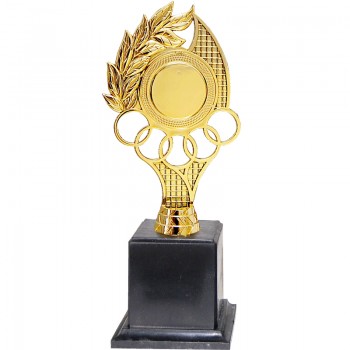 Acrylic Pattern Trophy - AT30943(1) A/B/C Size