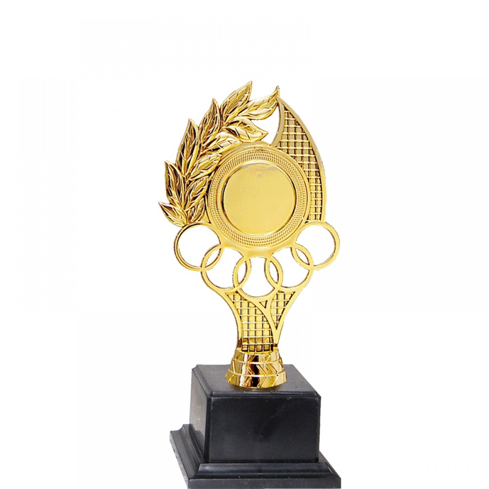 Acrylic Pattern Trophy - AT30943(1) A/B/C Size