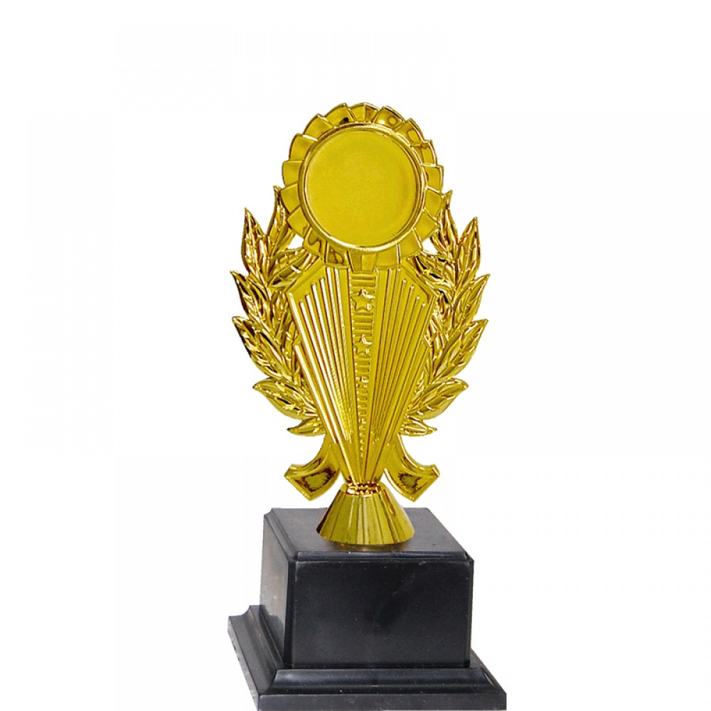 Acrylic Pattern Trophy - AT30943(2) A/B/C Size