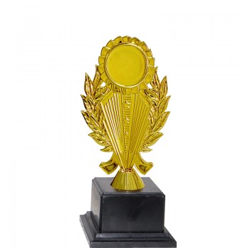 Acrylic Pattern Trophy - AT30943(2) A/B/C Size