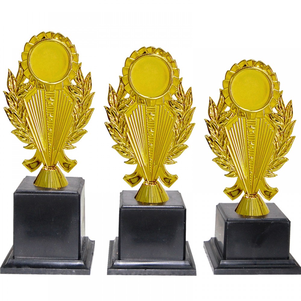 AT30943(2) Acrylic Pattern Trophy Set