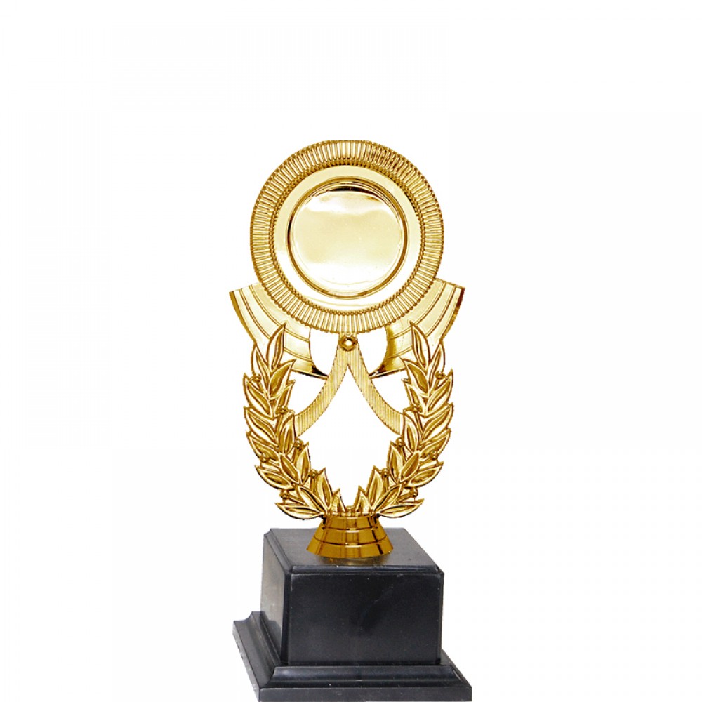 Acrylic Pattern Trophy -  AT30943(3) A/B/C Size