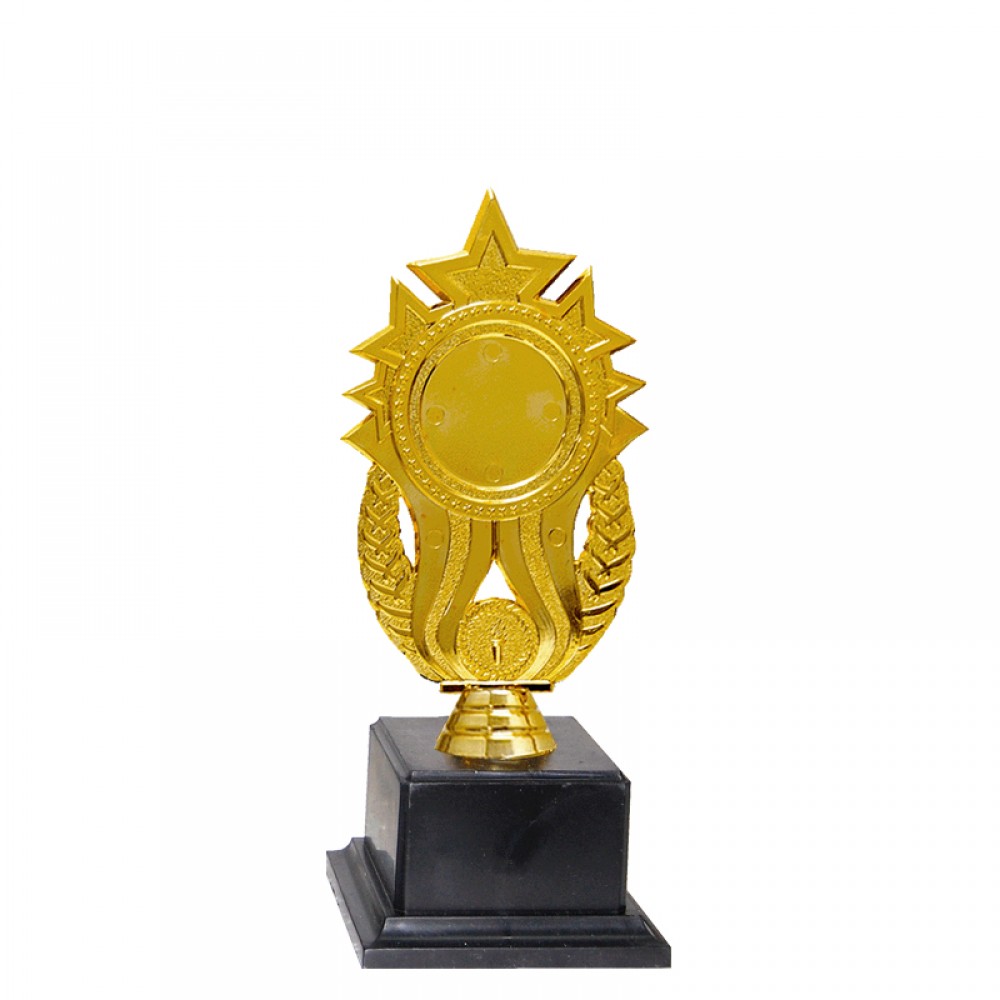 Acrylic Pattern Trophy - AT30943(5) A/B/C Size