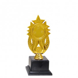Acrylic Pattern Trophy - AT30943(5) A/B/C Size