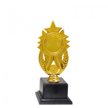 Acrylic Pattern Trophy - AT30943(5) A/B/C Size