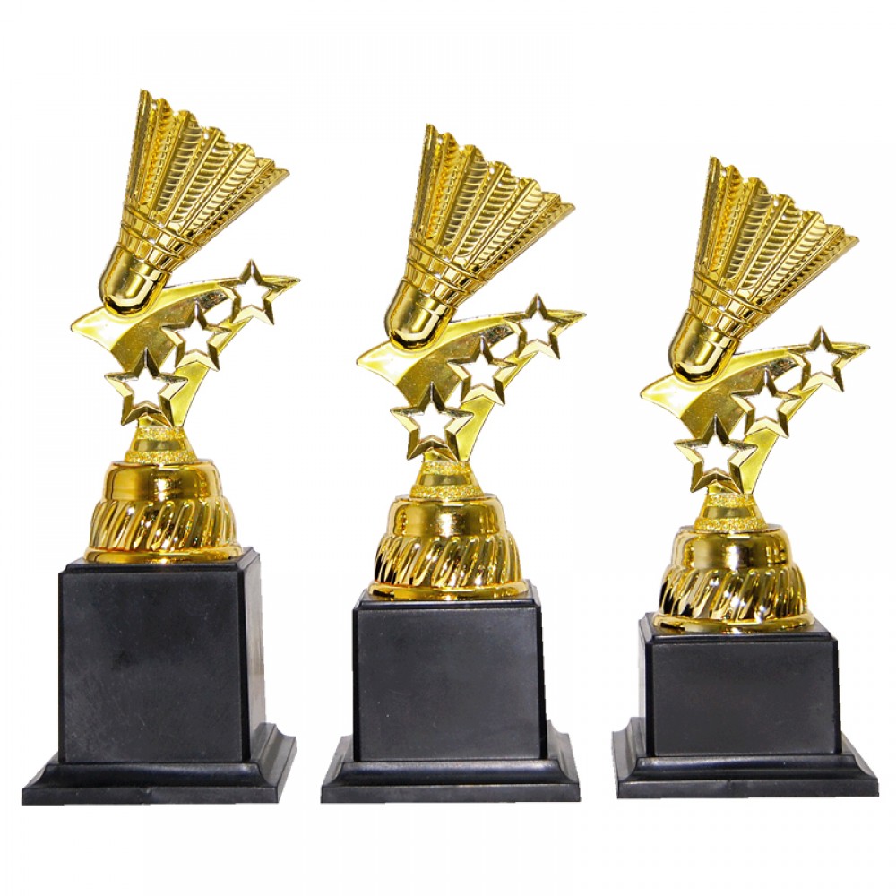 AT30945(2) Acrylic Pattern Trophy Set
