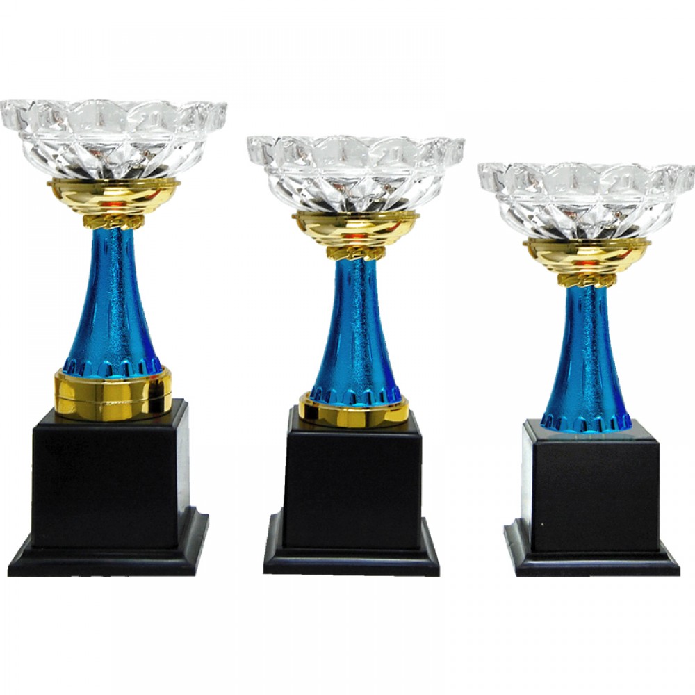 CP0308 Pattern Trophy Set