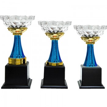 CP0308 Pattern Trophy Set