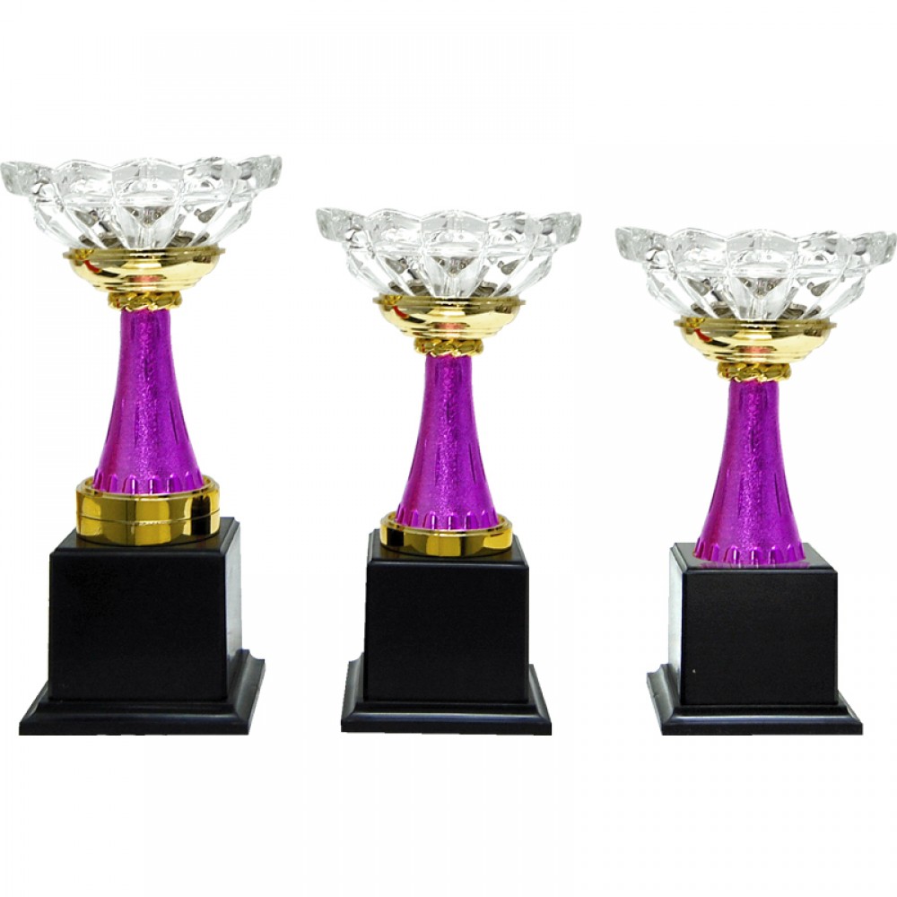 CP0309 Pattern Trophy Set