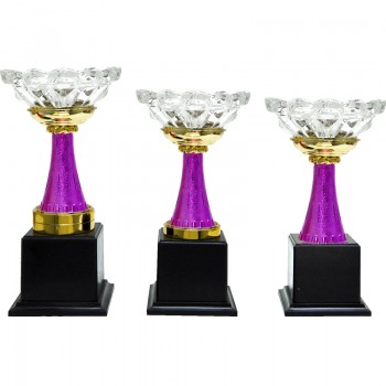 CP0309 Pattern Trophy Set
