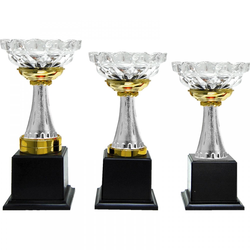 CP0311 Pattern Trophy Set