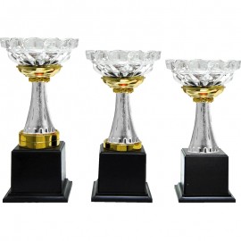 CP0311 Pattern Trophy Set