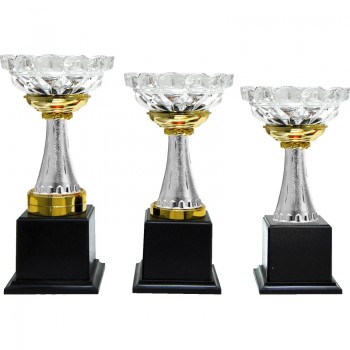 CP0311 Pattern Trophy Set