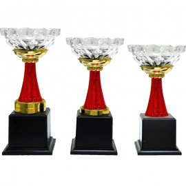CP0307 Pattern Trophy Set