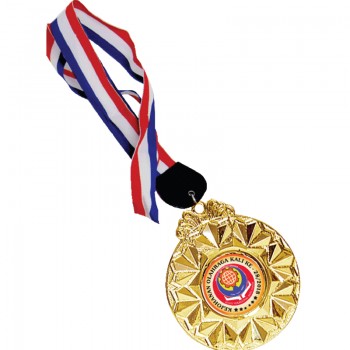 ACC913(6) Plastic Hanging Medal With Gold/Silver/Bronze color c/w Big Ribbon With Color