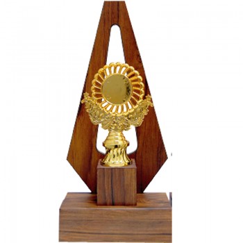 Wooden Pattern Trophy -AT30775 A/B/C Size