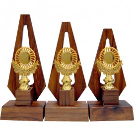 AT30775 Wooden Pattern Trophy Set