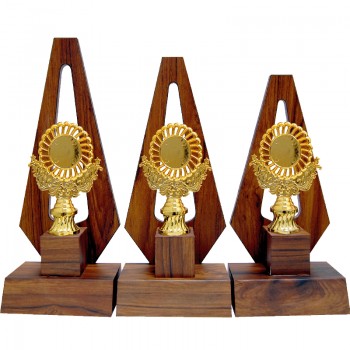 AT30775 Wooden Pattern Trophy Set