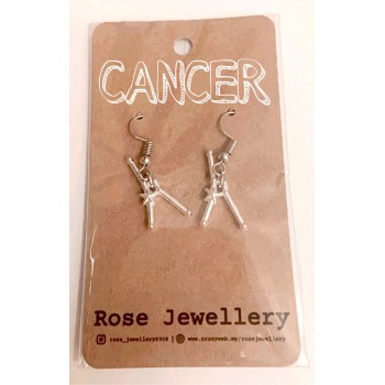12 Zodiac Sign Hook Earrings for Women | Fashion 12 Constellation Silver Metal Jewelry Astrology 