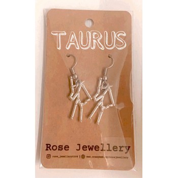 12 Zodiac Sign Hook Earrings for Women | Fashion 12 Constellation Silver Metal Jewelry Astrology 
