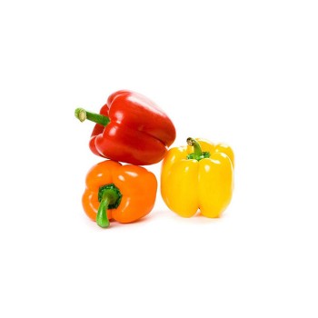 Capsicum Combo / 灯笼椒配套 各一粒