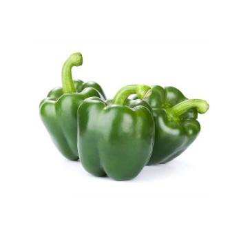 Green Capsicum / 青灯笼椒 (500g)