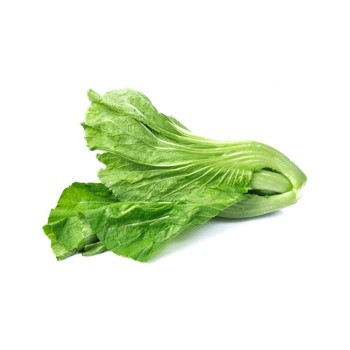 Mustard / Kai Choy / 芥菜 (1kg+-)